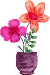 pink orchid in a vase