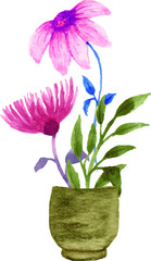 pink flower in a pot