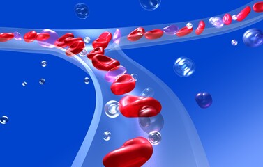 Anatomical 3d illustration of red blood cells in blood circulation. Transparent capillary glass on a blue background.