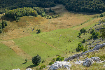 A grassy valley surrounded by trees and rocks with sheep grazing on the grass on the mountain