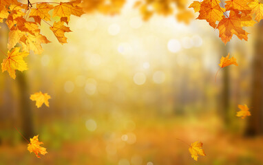  Falling leaves natural background.