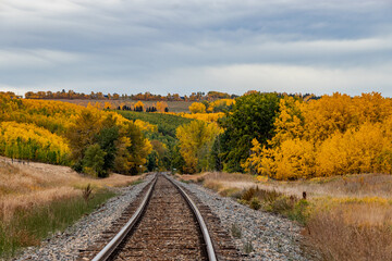 A drive through Foothills County Alberta Canada