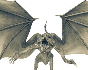 Fototapeta premium dragon