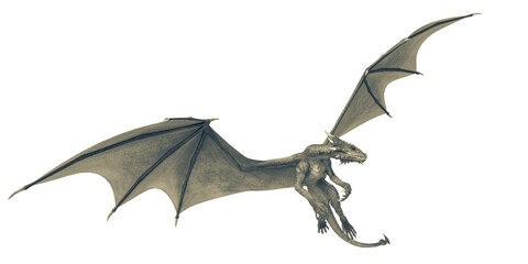 Fototapeta premium dragon