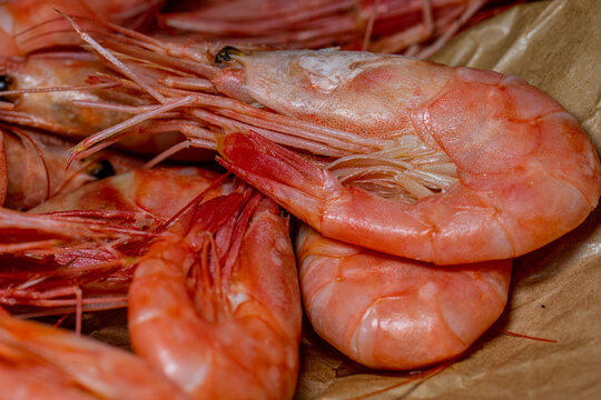 Detail photo of boiled red shrimp ready to be eaten.