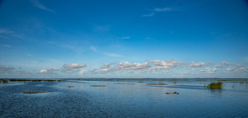 Lake Apopka