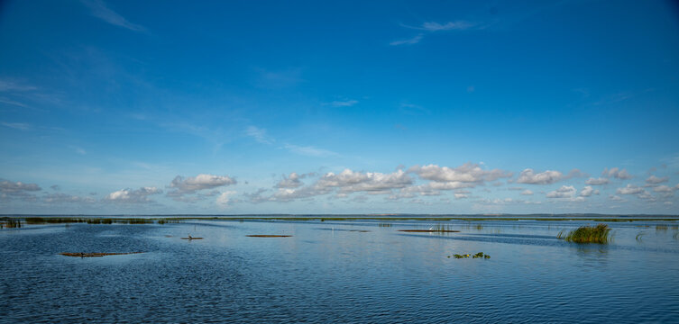 Lake Apopka