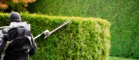 A gardener with automatic shears cuts a hedge
