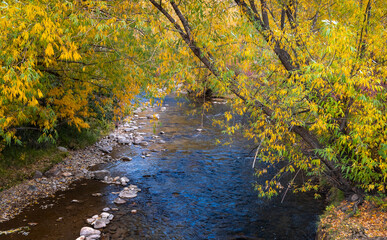 Obraz na płótnie Canvas South Fork Ogden river in Utah.