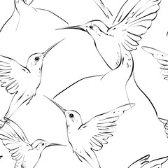 Elegant line art hummingbirds seamless pattern. Cute kids seamless design for fabric, texile print, dress print. Hand drawn birds on white background