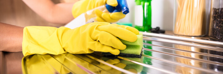 Person's Hand Cleaning Stainless Steel Sink