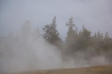 Fog, Geyers and Clouds