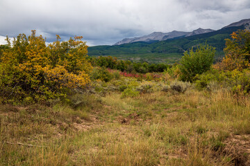 fall colors on Kepler Pass Colorado