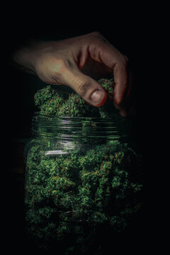 giant jar of medicinal cannabis buds, marijuana fruits
