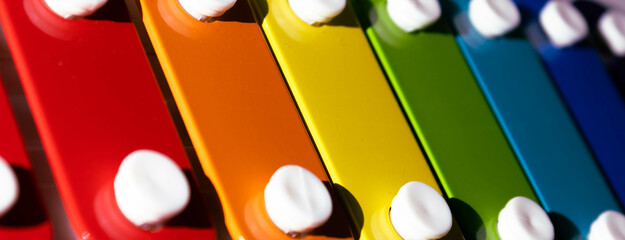 Focus on a multicolored xylophone used as an educational musical instrument for children and adults with the colors of the rainbow forming a fun background. Mention the development of reasoning.
