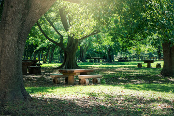 午後の日差しが当たる公園の木製テーブル