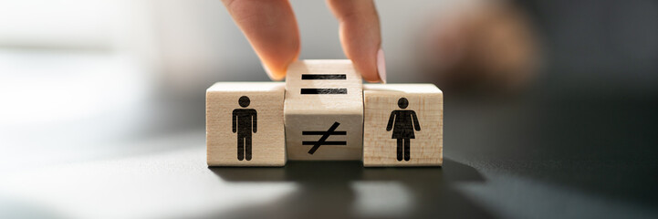 Gender Equality And Parity Law