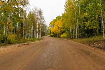 Fototapeta premium fall colors on Kepler Pass Colorado