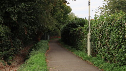 path in the park