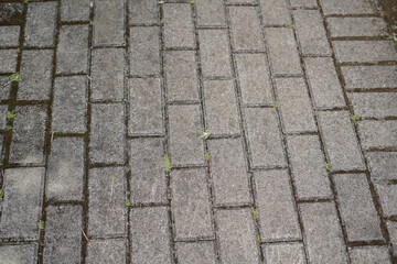 abstract paving blocks form regular lines
