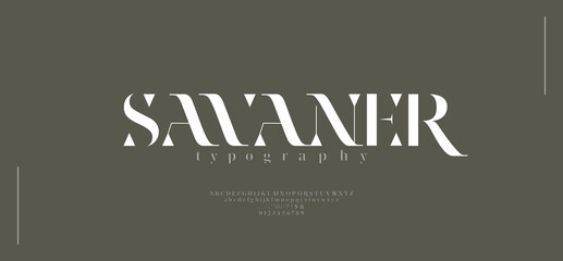 Luxury alphabet letters font. Typography Elegant classic serif fonts and number decorative logo wedding vintage retro concept. vector illustration