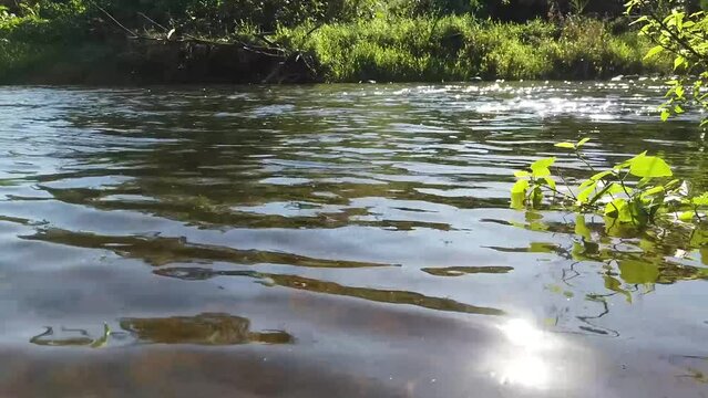 Rio da Serra do Mar e corredeiras