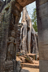 Fototapeta na wymiar The Preah Khan temple complex situated at the northern edge of the Angkor Archaeological Park is one of the most significant buildings erected during the ancient Khmer empire.
