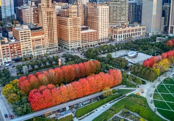 Tuinposter Michigan Ave in the Fall © 606 Vision