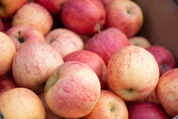 apples on the market