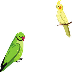 Two birds are isolated on white.