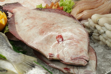 Peixe Cru / Frutos do Mar /  Seafood