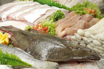 Peixe Cru / Frutos do Mar /  Seafood
