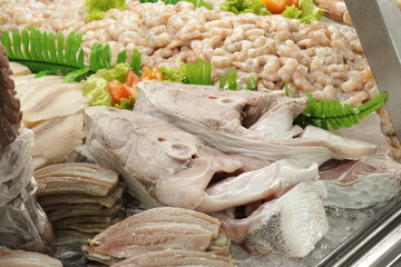 Peixe Cru / Frutos do Mar /  Seafood