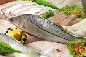 Peixe Cru / Frutos do Mar /  Seafood