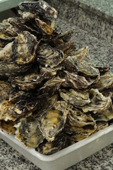 Ostras Crua / Raw Oysters