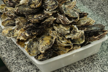 Ostras Crua / Raw Oysters