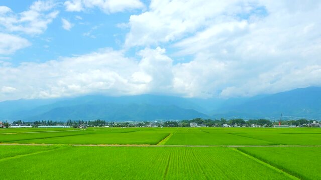 長野県　安曇野の田園風景