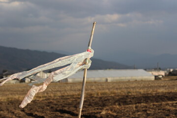 plastic bag tied on a stick blowing in the wind in front of fields 