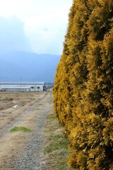 Rural Japan road to factory