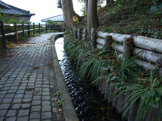Backwoods path in rural Japan