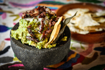 Guacamole con chapulines - Comida mexicana