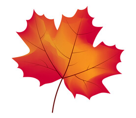 Vector maple leaf. Colors of autumn.