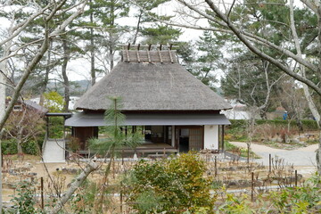 Fototapeta na wymiar 日本家屋と庭
