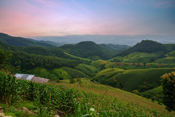 Agriculture fields of corn on the hills with wooden cottage durring evening in green season of Mae Hong Son province unseen Northern Thailand. Scenic landscape in Thailand.