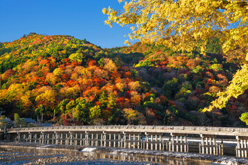 秋の京都　嵐山の紅葉と渡月橋