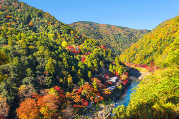 嵐山公園展望台から望む秋の嵐山