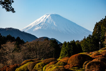 Mount Fuji in Japan viewed from a park with autumn colors and a path