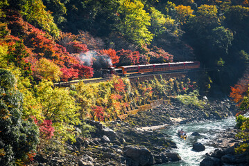 秋の保津峡を走る嵯峨野トロッコ列車と保津川下りの船