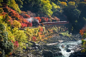 Zelfklevend Fotobehang 秋の保津峡を走る嵯峨野トロッコ列車と保津川下りの船 © Nishitap