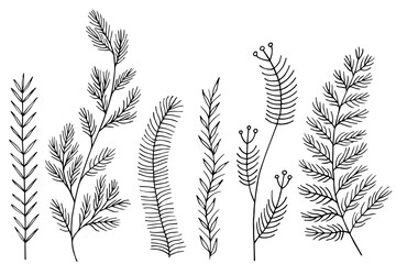 Leafs plants hand draw vector. Drawing beautiful creeper leaf, decorative set	